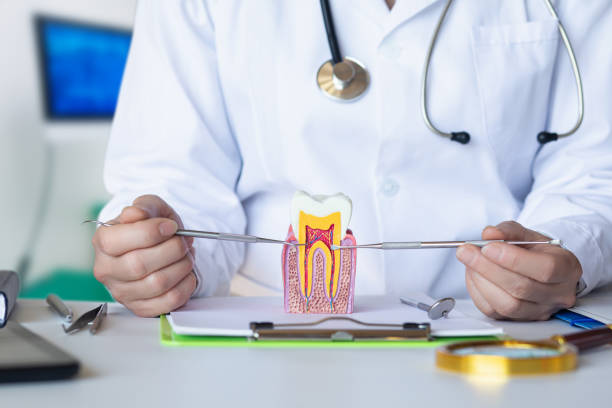 Best Emergency Orthodontic Repairs in Marksville, LA